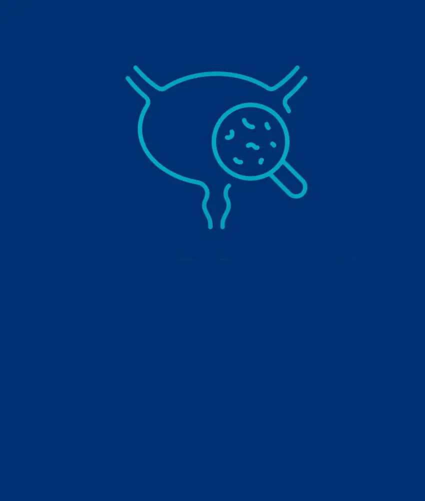 infecciones vías urinarias urológo dr edgar beltrán suárez