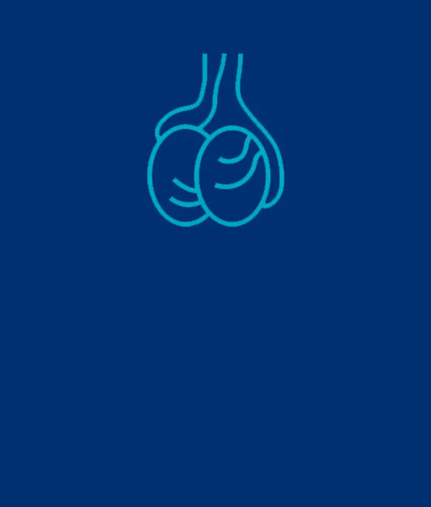 varicocele urológo dr edgar beltrán suárez